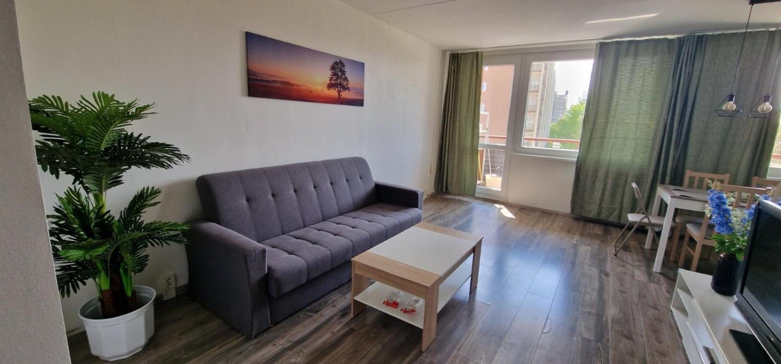 Apartment Chodov