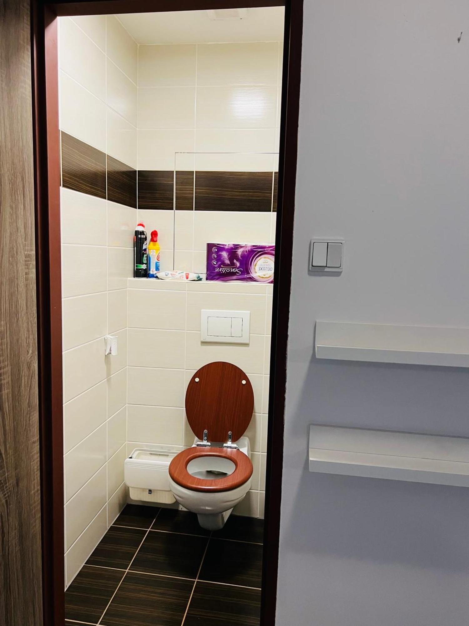 Apartment Chodov